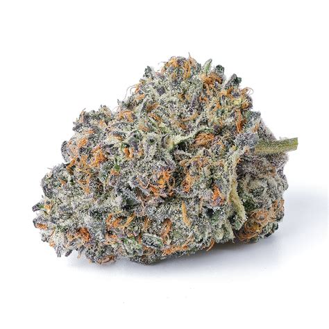 Tantalizing and pungent. Temptation F2 (Jealousy x Ice Cream Cake) is the second generation of the Temptation strain, with bright aromas of sour citrus and creamy vanilla. Complex terpene profiles of gelato give this strain a slightly gassy flavor with mild hints of cake. Versatile and ideal for a wide range of occasions.